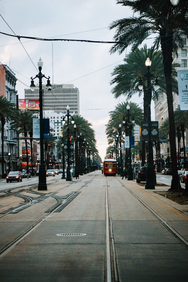 A streetcar travels down a palm tree-lined street.